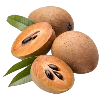 Chikoo