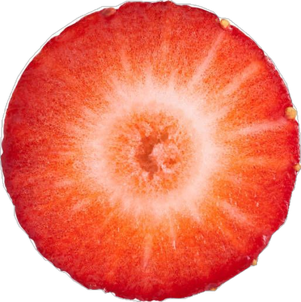 onion